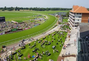 York Races - Ebor Festival 2026 (Day 2)